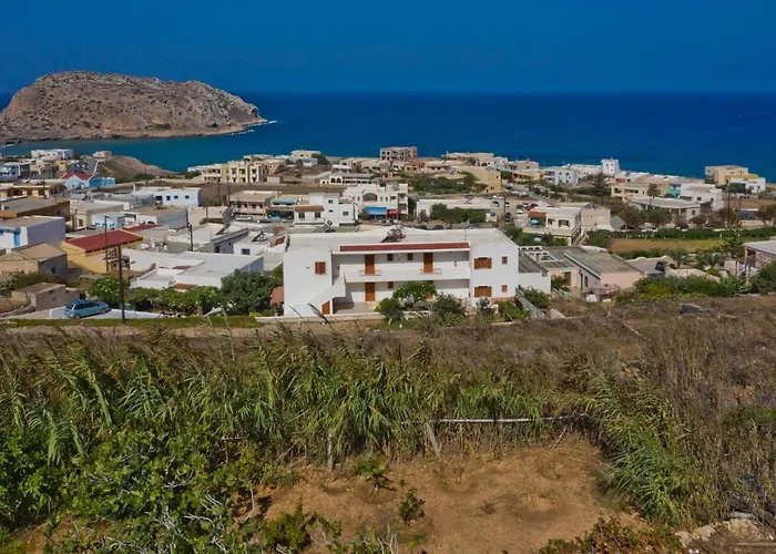 Zoestudios-arkasa * أركاسا